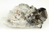 2.3" Lustrous Cassiterite Crystal Cluster - Viloco Mine, Bolivia - #192167-1